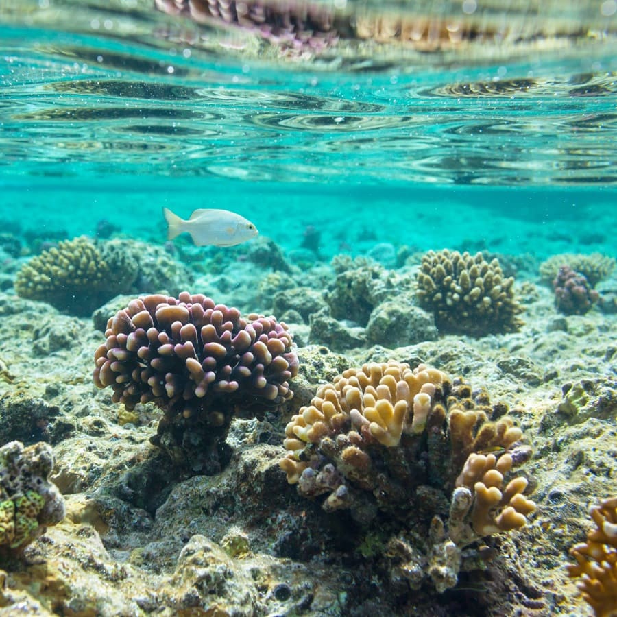 Day 4: Green Turtle Cay